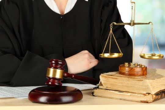 وکیل حقوق حیوانات