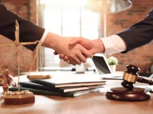 بهترین وکیل جنین