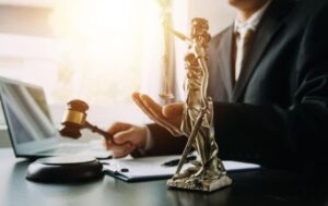 نحوه انتخاب بهترین وکیل حقوق حیوانات